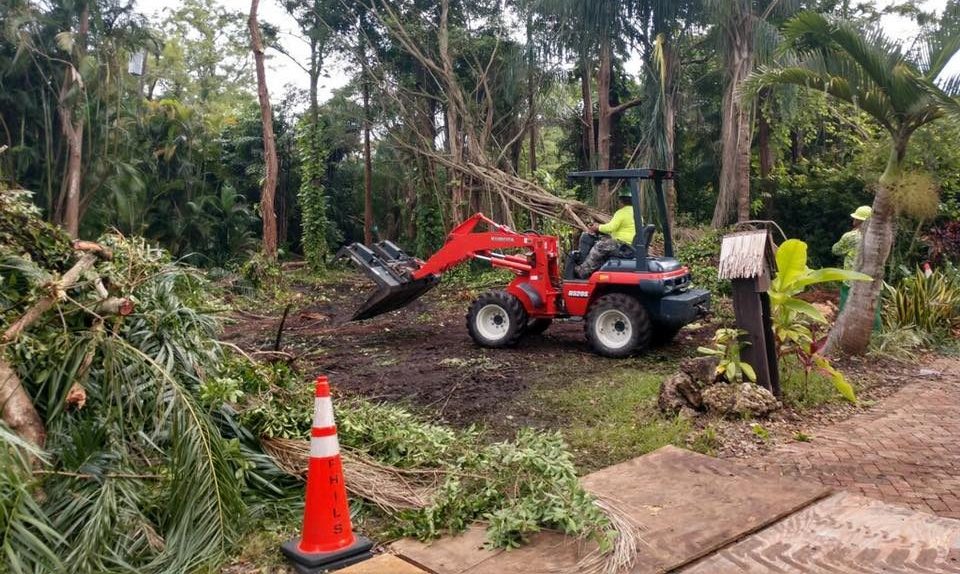 Land Clearing Experts