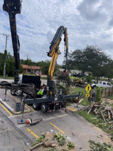 Emergency Tree Removal