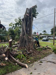 Land Clearing Services